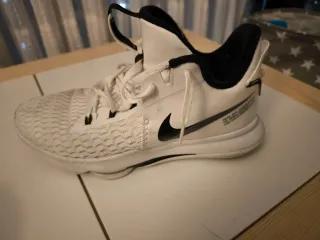 Zapatillas Baloncesto LeBron Witness V 44.5