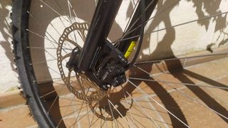 Bicicleta MTB Specialized Rockhopper 29 Verde