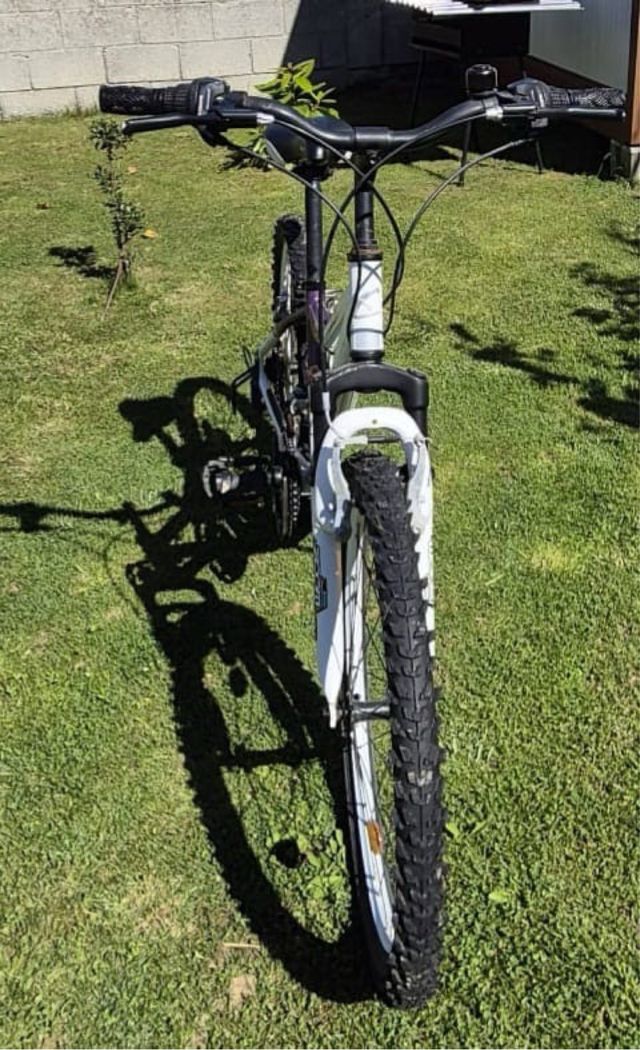 Bicicleta California Mujer