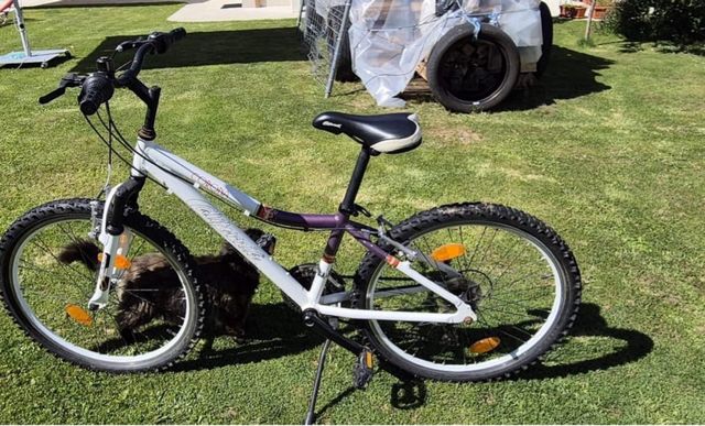 Bicicleta California Mujer