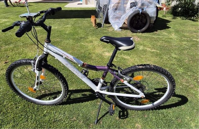 Bicicleta California Mujer