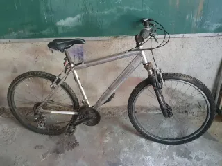 Bicicleta de Montaña Plateada 