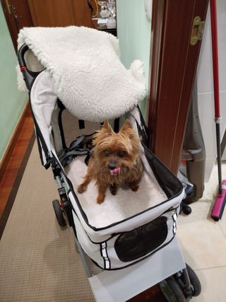 Silla de paseo para perro