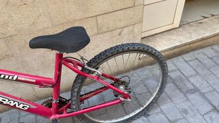 Bicicleta Boomerang Rosa