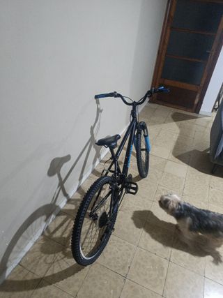Bicicleta BTWIN 24 modificada