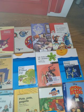 Varios libros de lectura y para chicos de primaria