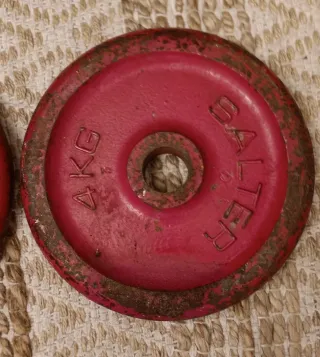 2 Pesas Salter 4kg