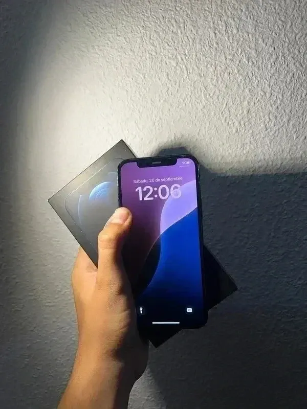iPhone 12 Pro Grigio/Viola
