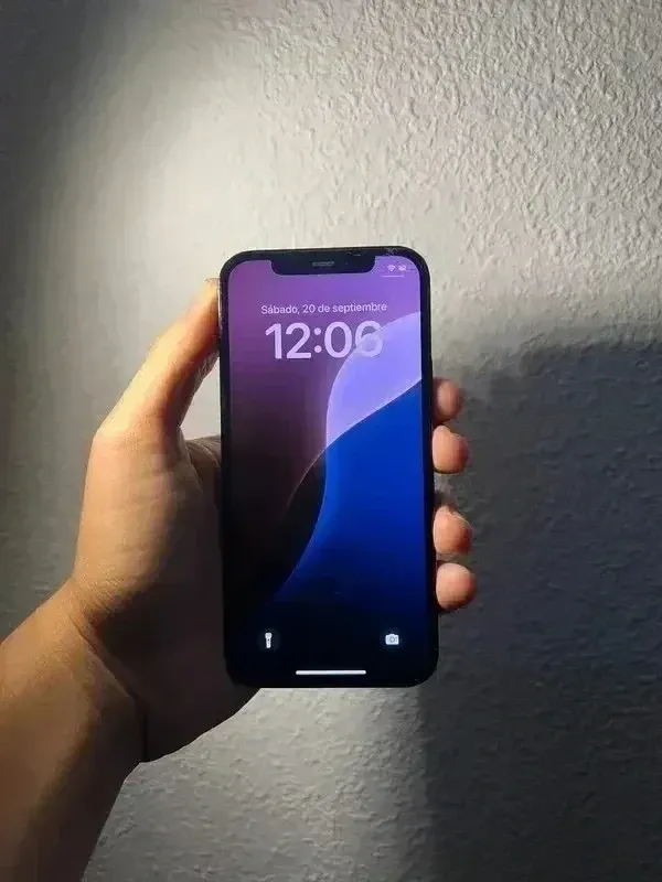 iPhone 12 Pro Grigio/Viola
