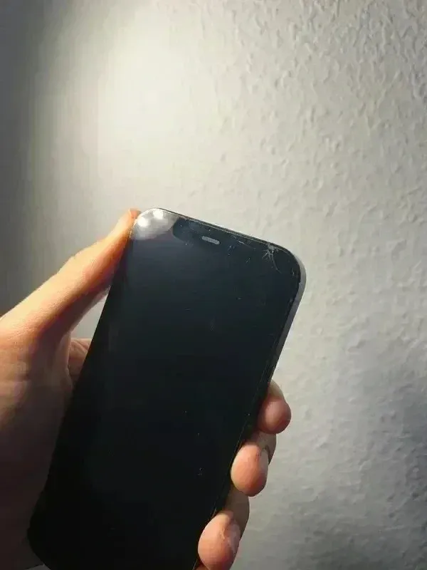 iPhone 12 Pro Grigio/Viola