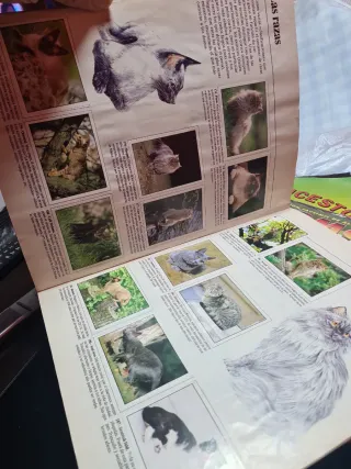 Álbum Panini Animales Domésticos