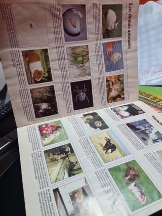 Álbum Panini Animales Domésticos