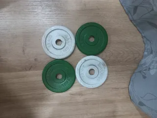 DISCOS 4 PESAS 0.5KG SALTER DE 20MM