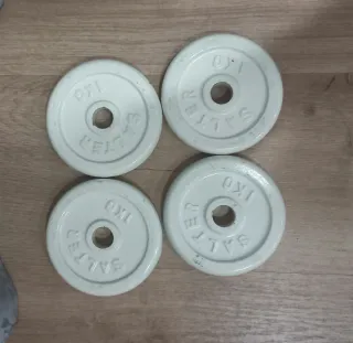 DISCOS 4 PESAS 1 KG SALTER DE 20MM