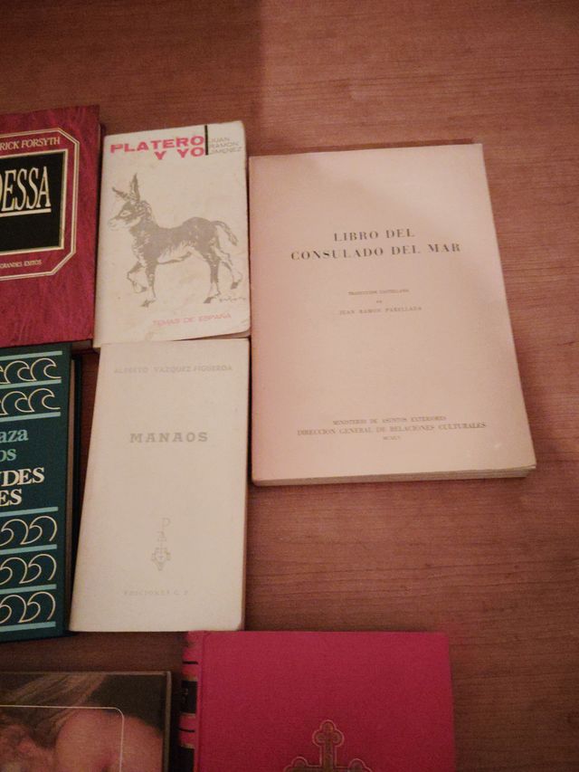 Lote de libros variados