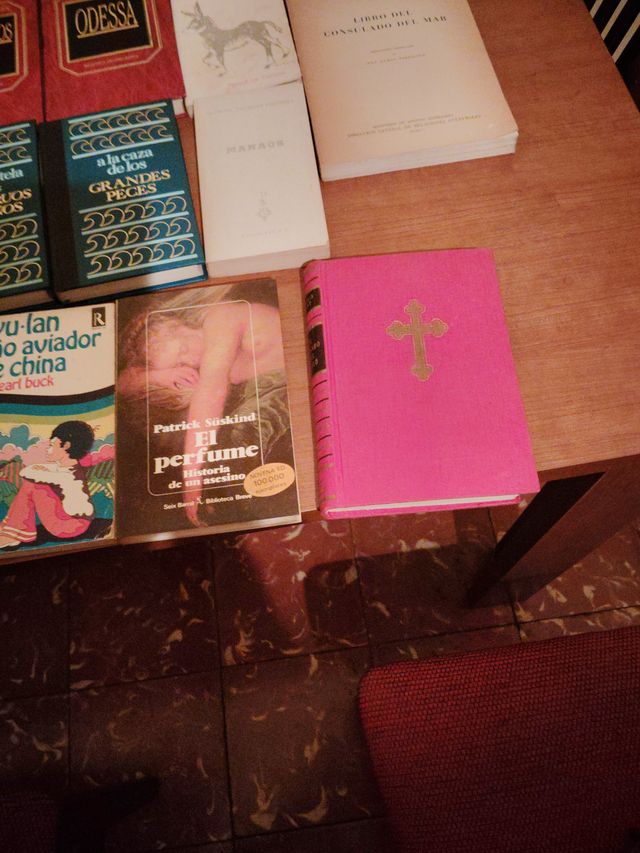 Lote de libros variados