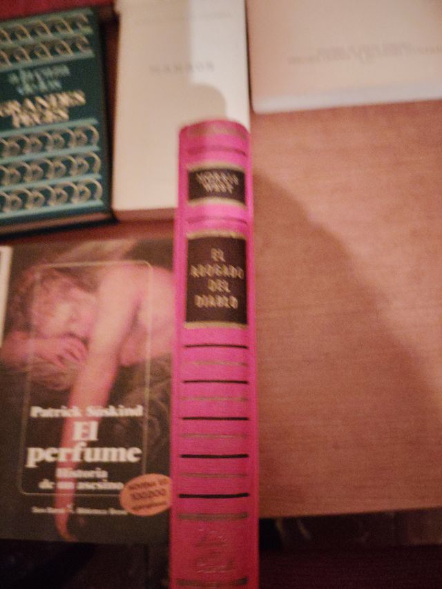 Lote de libros variados