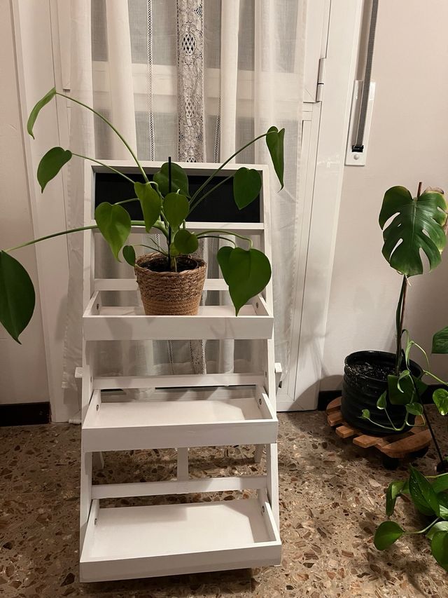 Estantería de madera blanca