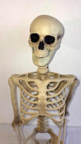 Scheletro Halloween Grande 90cm