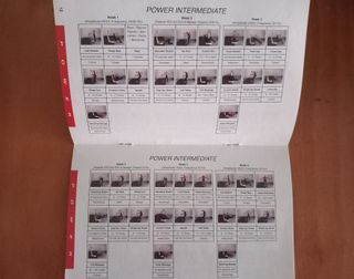 Plataforma Vibratoria Pro-Form SP EMotion 2