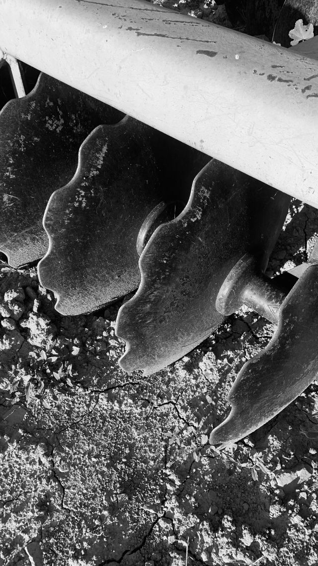 Grada de 22 discos agrícola