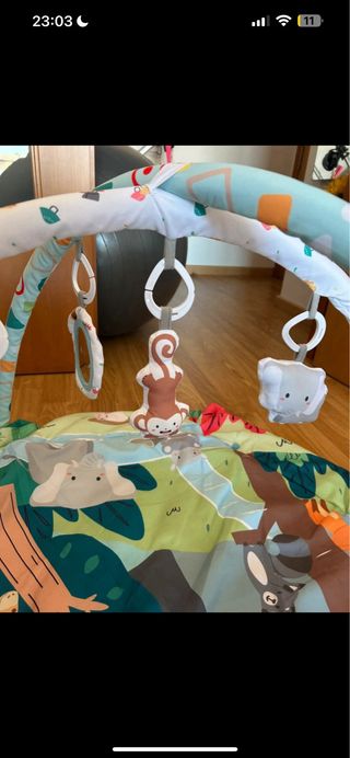 Gimnasio actividades bebé con peluches