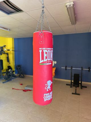 Gimnasio multifuncional Finnlo