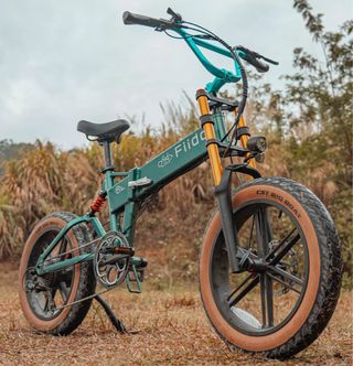 Fiido M1 Pro Fat Bike Elettrica