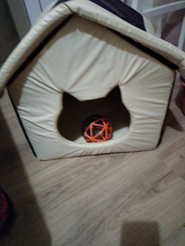 Casa para gatos