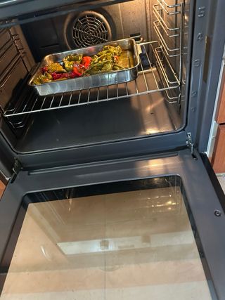 Horno Balay y Placa de Inducción Elextrolux