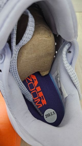 Nike Pegasus Premium Morado