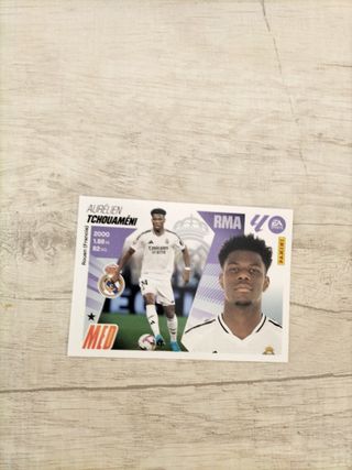 Lote 129 cromos Panini Liga Este 2025-26