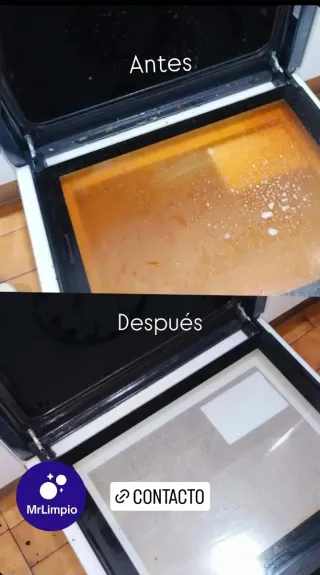 Mr. Limpio Servicio de limpieza