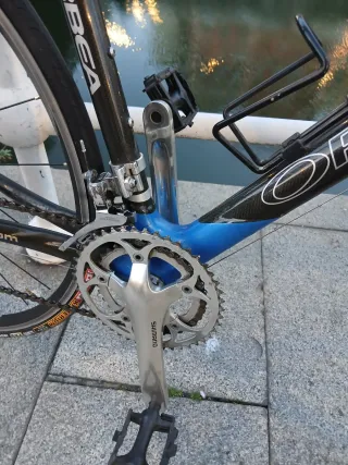 Orbea carbono juvenil