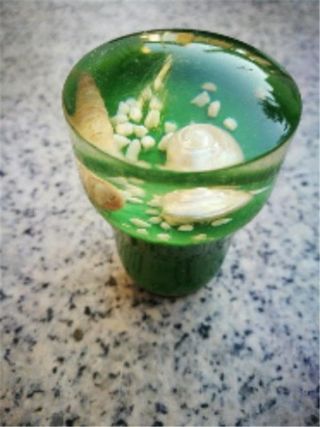 pomo de concha