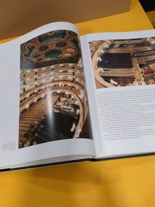 Liceu: Un espai per a l'art (Catalan Edition)