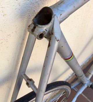 Cuadro Bici Zeus Clásico T. S/M
