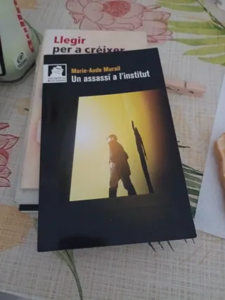 Un assassí a l'institut