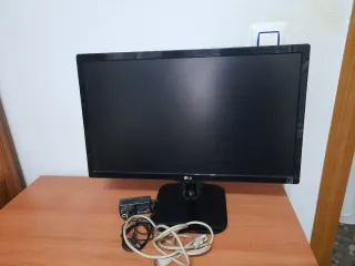 Pantalla LG 22 Ordenador