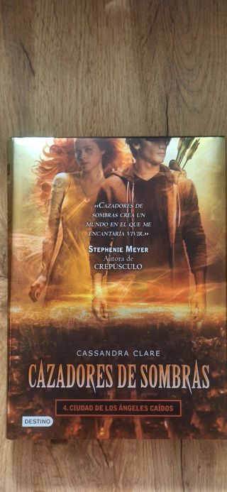 Cazadores de Sombras 4: Ciudad de los ángeles caíd