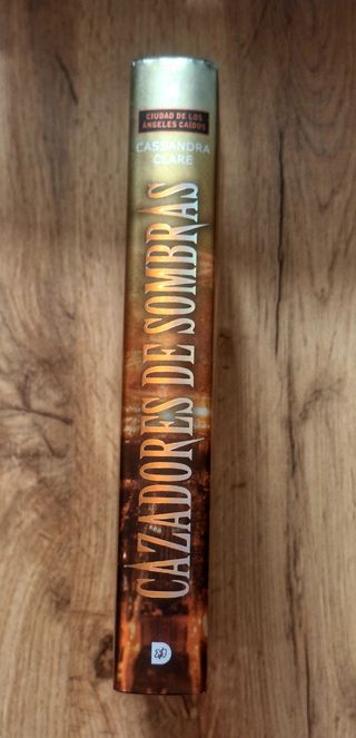 Cazadores de Sombras 4: Ciudad de los ángeles caíd