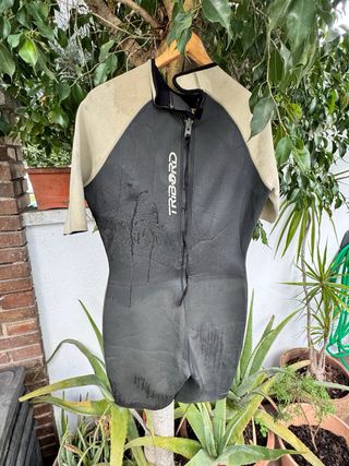 Neopreno Tribord corto hombre