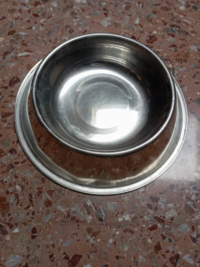 Dos platos para perro de acero inoxidable