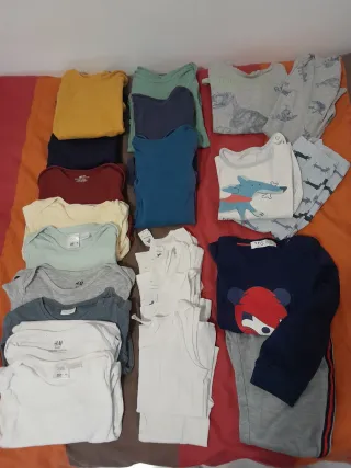 Lote Ropa Niño 2-3 Años