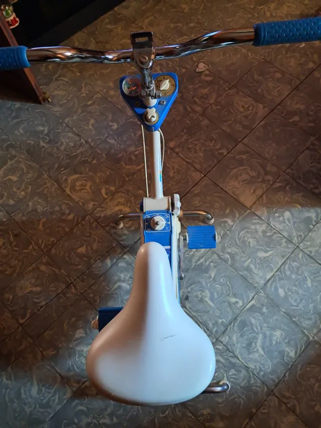 Bicicleta Estática BH Vibrocycle