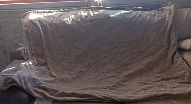 Manta Eléctrica 3 Potencias Beige/Marrón