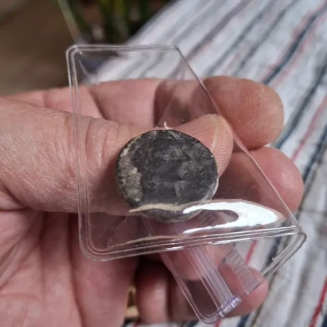 Moneda Ibérica Antigua