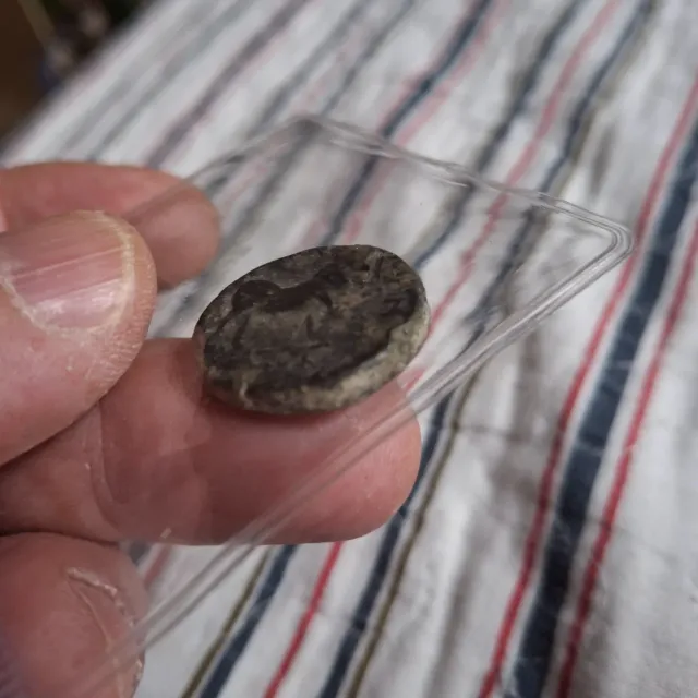 Moneda Ibérica Antigua