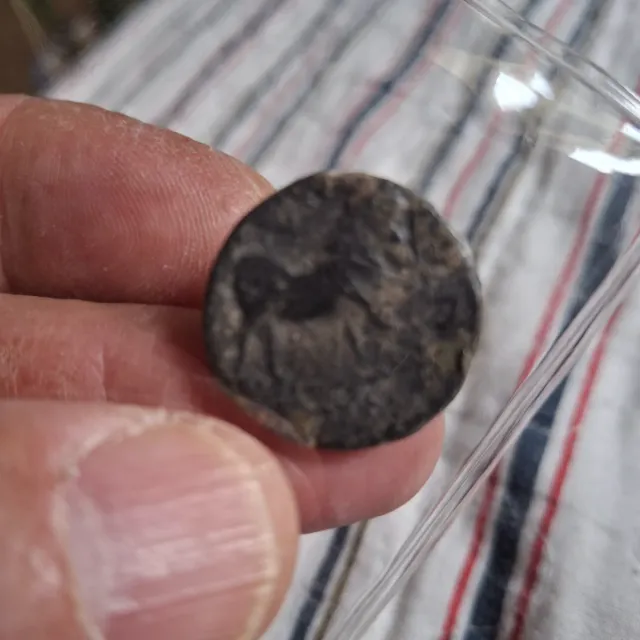 Moneda Ibérica Antigua