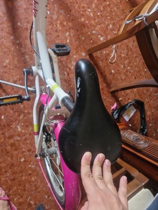 Bicicleta infantil Denbike